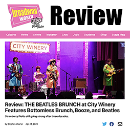 broadwayworld review homepage